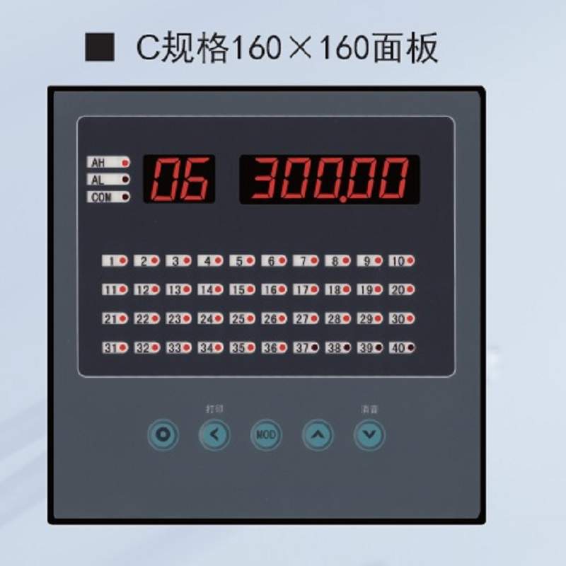 XSLE-24 24通道智能巡回检测报警仪 2点报警通讯,打印巡检仪